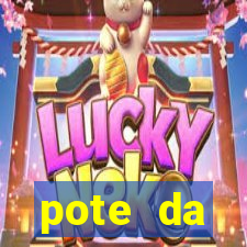 pote da prosperidade riqueza e fortuna 2024